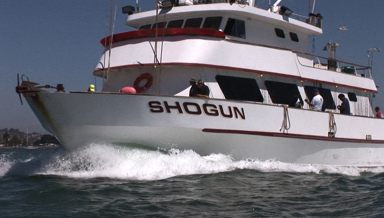 120MM SHOGUN FISHING LINE – Anglers Bay